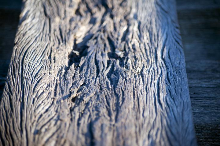 Old rotted wood texture with a shallow dof view of a section of dry rotting wood in a close up view