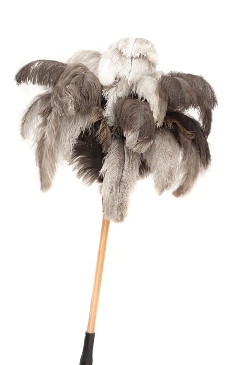 Large feather duster with natural ostrich plumes and a long wooden handle for cleaning the ceiling in a household chores and hygiene concept