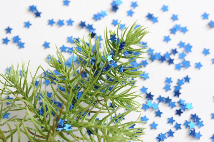 Christmas Concept - Close up Fir Tree Branch on White Background with Small Blue Stars.