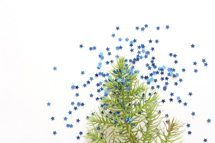 Close up Christmas Tree Branch on White Background with Small Star Particles, Emphasizing Copy Space.