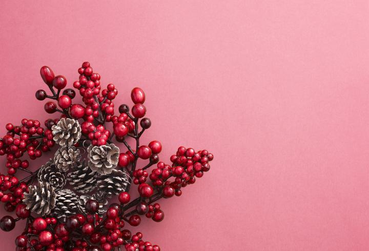 A decorative red berry Christmas wreath with frosted pine cones isolated on a plain pink background with copy space.