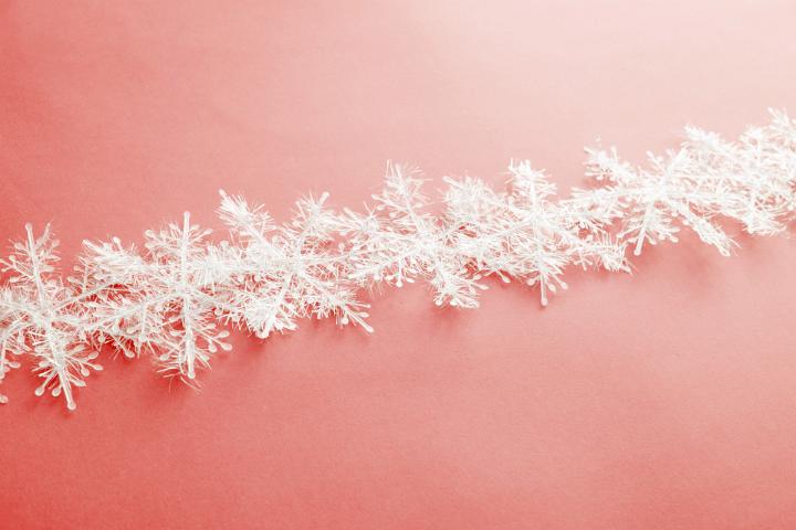 Decorative snowflake line lying against pink background