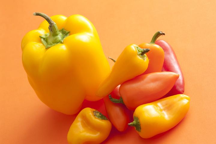 Assortment of healthy fresh whole yellow and orange sweet bell peppers or capsicum over a matching background