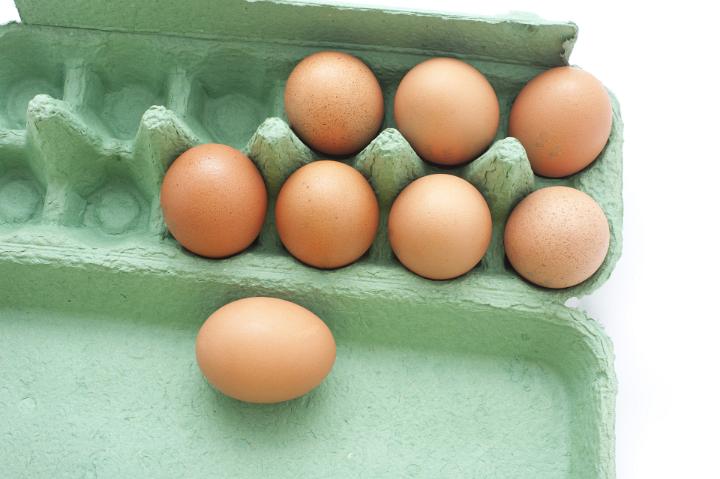 Close up Brown Fresh Chicken Eggs on Light Green Carton Tray with White Background.