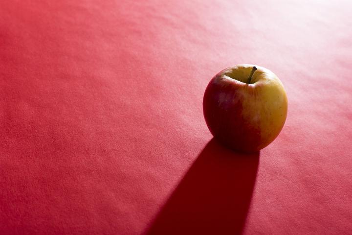 Single whole fresh apple on a red background lit from behind casting a shadow with copy space alongside