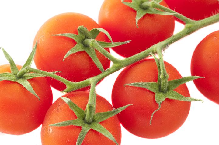 Still Life of Ripe Red Tomatoes on Vine as seen from Above on White Background