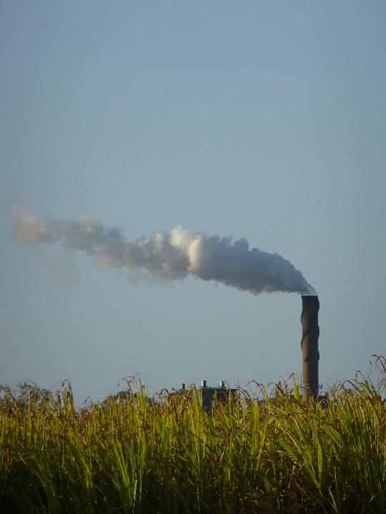View over greenery of a tall smoking industrial chimney polluting the air and atmosphere contributing to global warming