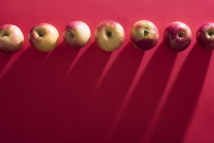 Fresh apples arranged in row on red background with copyspace