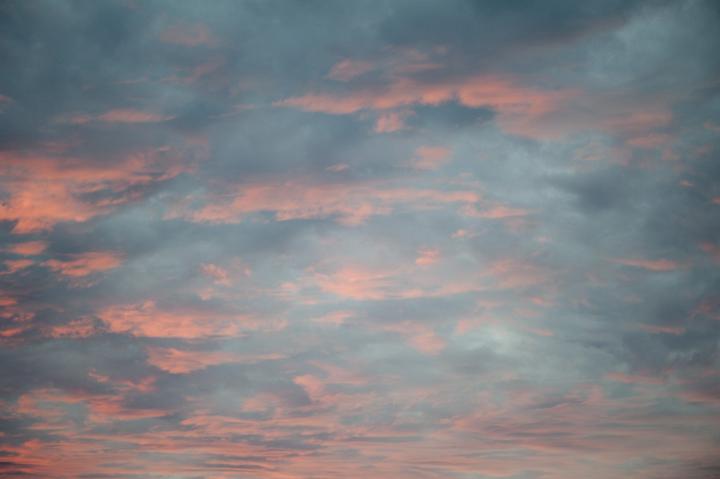 Delicate pink sunset reflected on scattered fluffy clouds in a soft blue sky for an atmospheric nature and weather background panorama