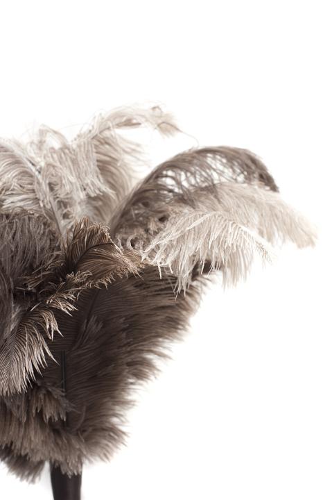 Close up Brown Gray Feather Duster on White Background, Emphasizing Copy Space for Texts.