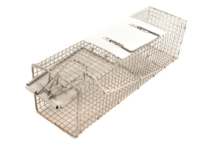 Close up Empty Open Rectangular Rat Cage Trap Isolated on White Background
