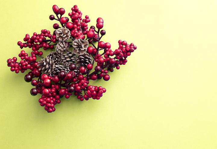 A decorative red Christmas berry wreath with frosted pine cones isolated on a plain yellow background with copy space.