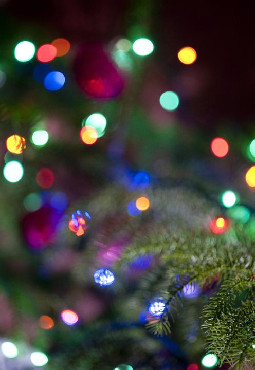 Colorful sparkling Christmas lights background bokeh with a branch of the Christmas tree visible in the foreground for a festive holiday party celebration