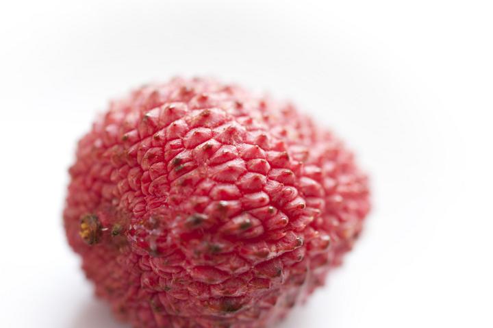 Fresh tropical litchi or lychee in a close up view showing the rough stippled texture of the skin over white