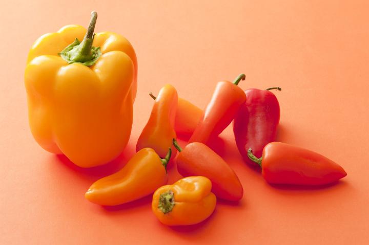 An assortment of vibrant, fresh orange and yellow peppers isolated on a plain orange background.
