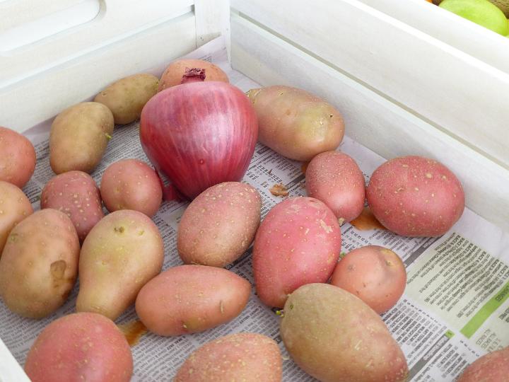 Dozen potatoes with one onion lying in wooden crate