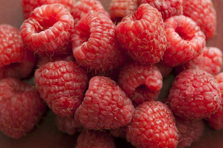 Pile of fresh red raspberries in close-up