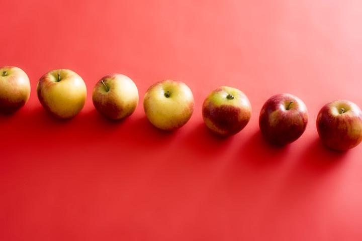 A row of seven various apples on a plain red background with copy space.
