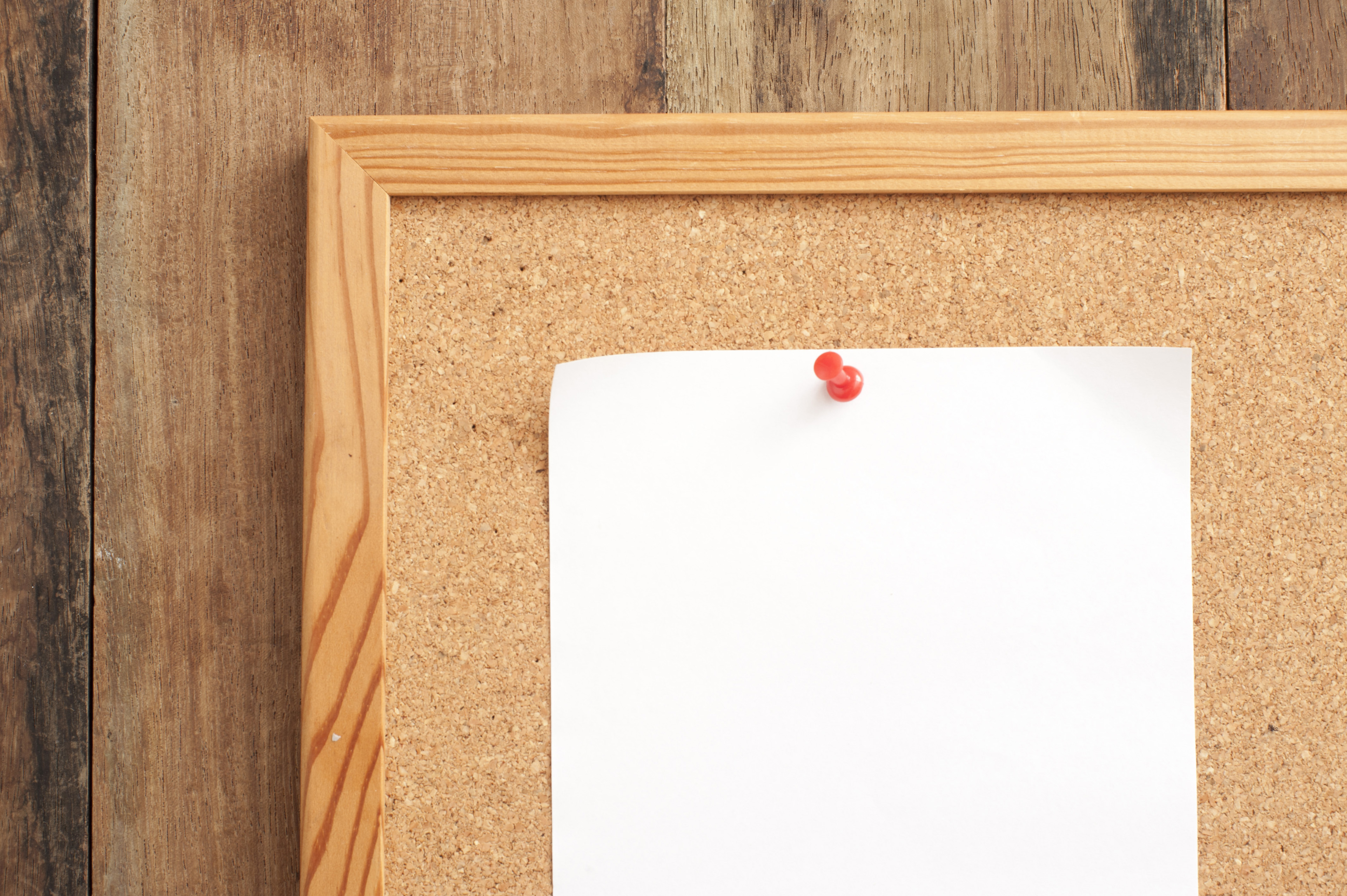 Free Image Of Blank White Paper Pinned On Cork Board Freebie Photography Free Image Of Blank White Paper Pinned On Cork Board Freebie Photography