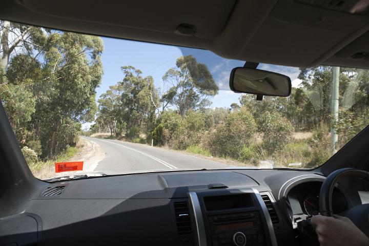 Passenger View Through Front Windshield of Driving in Car on Tree Lined Road with Dashboard Visible in Foreground